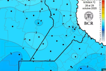 El trigo evitó las heladas y se encamina para hacer historia