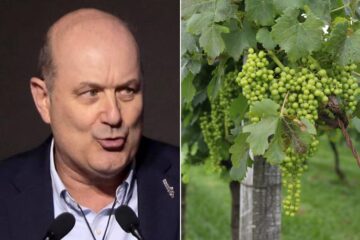 Sturzenegger destacó la fuerte desregulación del Gobierno para la industria del vino