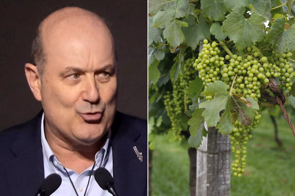 Sturzenegger destacó la fuerte desregulación del Gobierno para la industria del vino