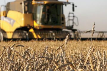 La dictadura de la proteína del trigo ruso presiona a la Argentina