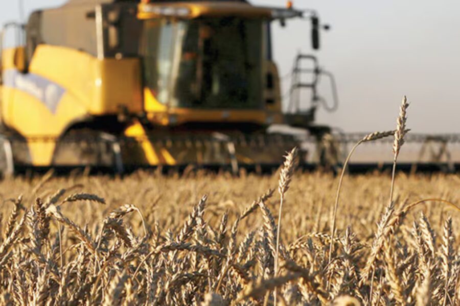 La dictadura de la proteína del trigo ruso presiona a la Argentina