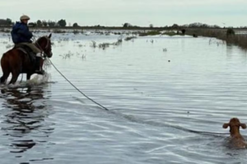 Denuncian parcial reanudación de las obras de dragado en la cuenca del Salado