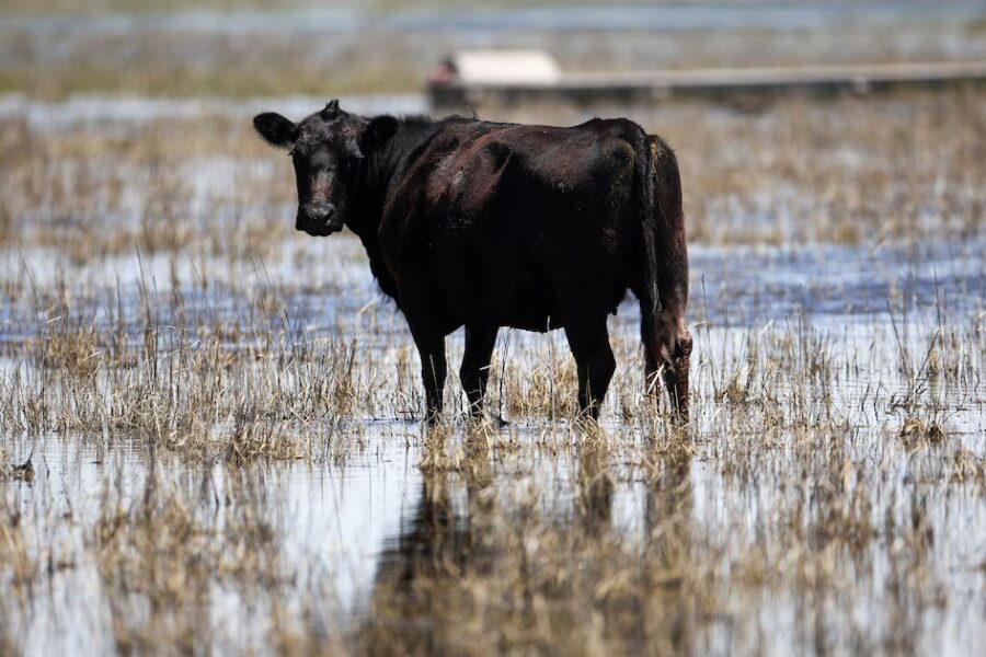 Ignacio Kovarsky respondió a la diputada Lucía Klug por el proyecto de tasa a emisiones vacunas