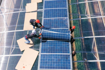 Gobierno promueve paneles solares con nanotubos de carbono para ampliar energía limpia y fomentar industria nacional
