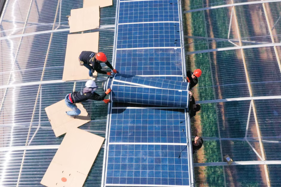 Gobierno promueve paneles solares con nanotubos de carbono para ampliar energía limpia y fomentar industria nacional