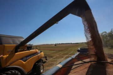 BBVA Research: economía argentina podría encadenar 3 años de crecimiento; advierten por empleo y brechas sectoriales