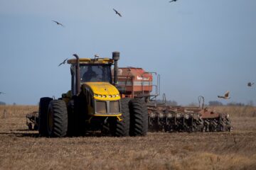 El campo vuelve a aportar dólares y ayuda a Caputo: suben ventas de trigo y maíz, pero la soja no despega
