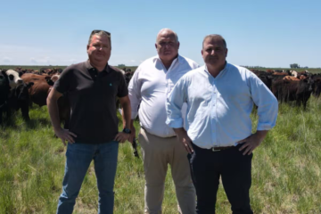 Llegó al país hace 30 años y desarrolló una solución para un problema que pocos miraban