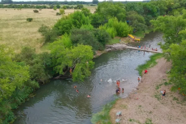 Amparo ambiental: ordenaron cesar el movimiento de tierra y el desmonte en un área protegida de Colón