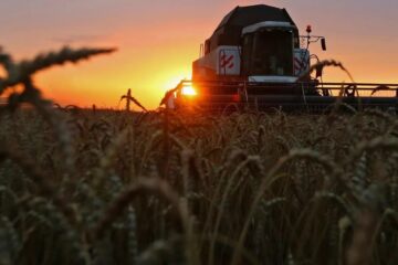 “Es necesaria”: las cerealeras apoyaron la reforma laboral de Javier Milei