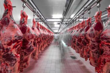 Exportación de carne vacuna de 2025 ya generó US$3531 millones