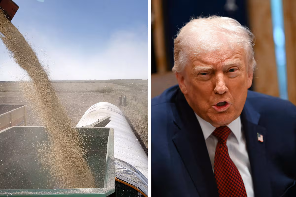 Expertos marcaron un fuerte contraste entre la política agrícola de Estados Unidos y la Argentina