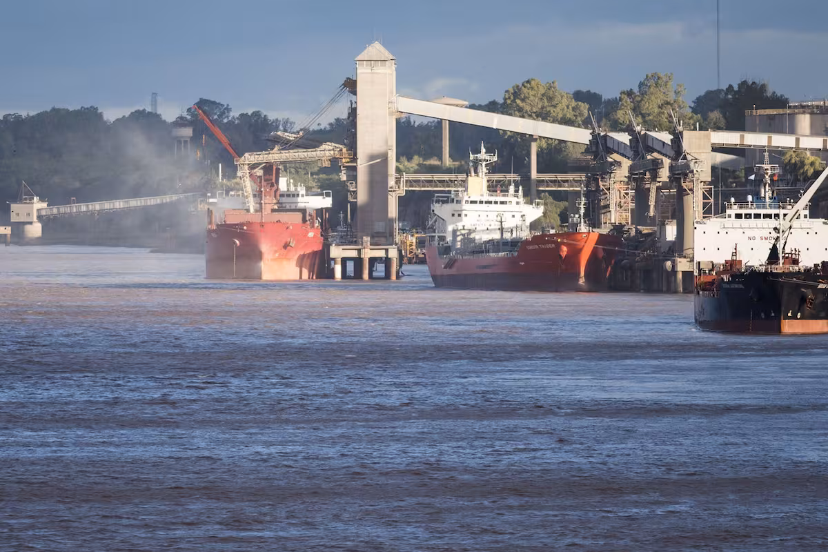 En noviembre, la agroindustria registró las mejores exportaciones en una década