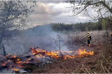 La Corte Suprema condenó al Estado, provincias y municipios por los incendios en el Delta
