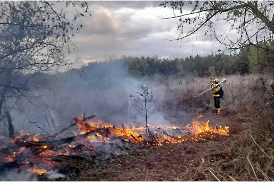 La Corte Suprema condenó al Estado, provincias y municipios por los incendios en el Delta