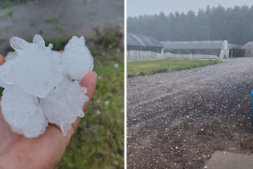 Necesito el título original y el contenido (o un resumen) del artículo para crear el nuevo título. ¿”Entre Ríos – LA NACION” es el título original o solo la fuente? Pega aquí el título y el texto (o un resumen) y te devuelvo solo el título propuesto.