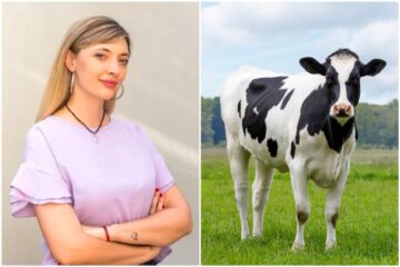 Expertos cuestionan proyecto de la diputada K que propone gravar los gases bovinos