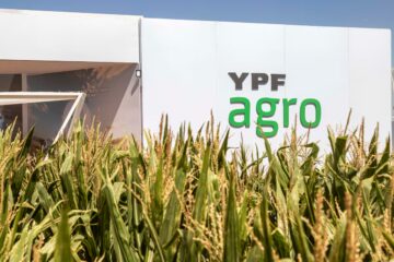 Por qué YPF quiere un socio para su negocio agropecuario