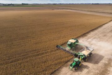 La soja inició la semana en terreno negativo en el mercado internacional