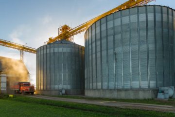 El grupo brasileño AMaggi, gigante del agro, renueva un plan con Los Grobo Agropecuaria