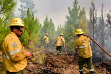 La reforma de la Ley de Manejo del Fuego une al peronismo y al PRO contra el Gobierno