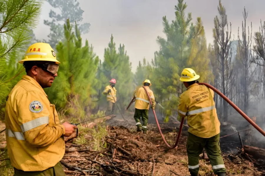 La reforma de la Ley de Manejo del Fuego une al peronismo y al PRO contra el Gobierno