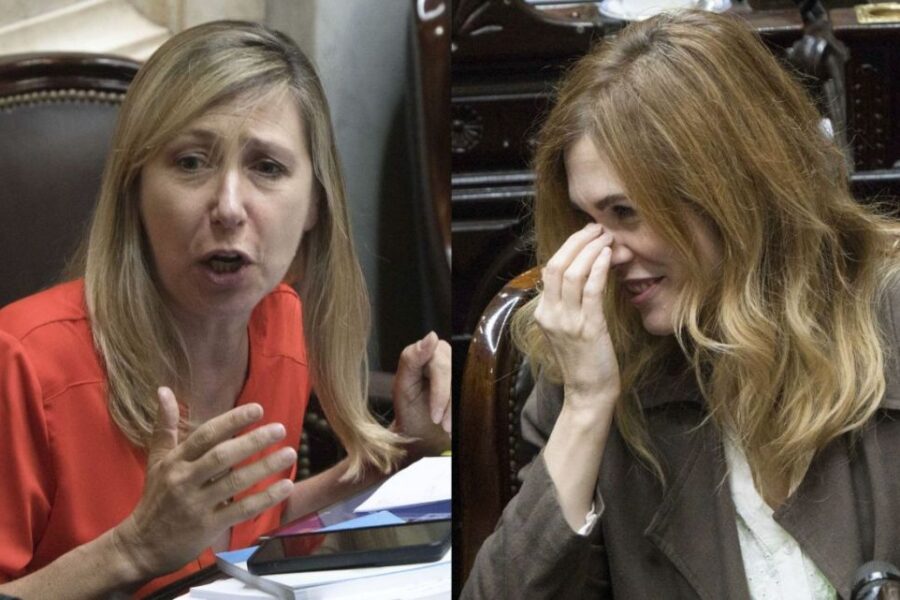 Myriam Bregman cruzó a Lilia Lemoine y exigió: “Que se callen esas cacatúas”