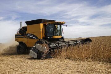 El Gobierno baja las retenciones: soja al 24% y se reducen maíz, trigo y girasol