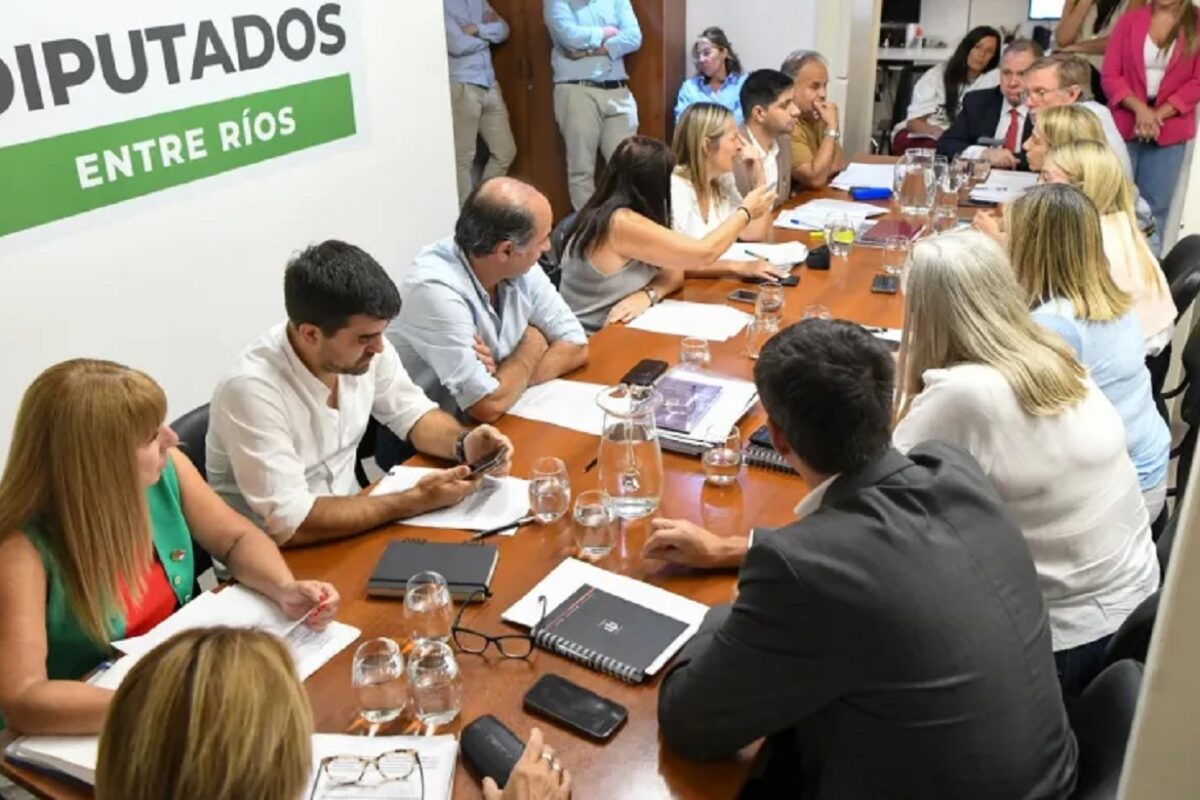 Juicio político: Medina negó las acusaciones ante diputados poco inquisitivos