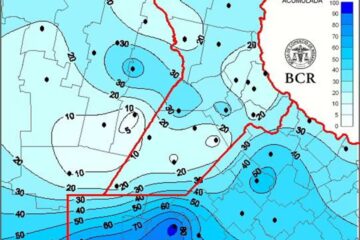 Últimas lluvias apuntalan una prometedora campaña de maíz: llegan justo a tiempo