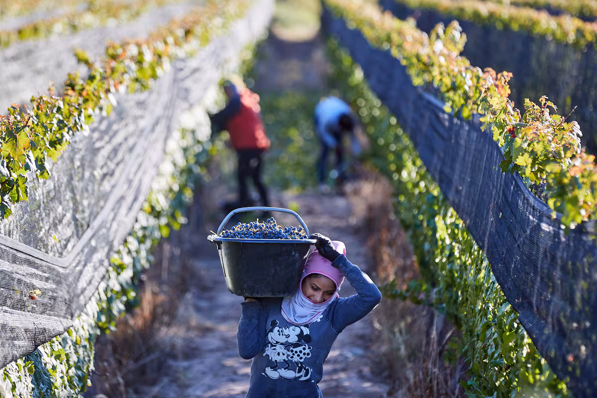 Modernización laboral abre una oportunidad histórica para el campo argentino