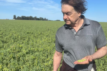 Productores mantendrán sus planes tras la baja de retenciones, aunque valoran el gesto del Gobierno