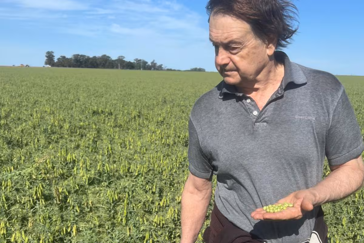 Productores mantendrán sus planes tras la baja de retenciones, aunque valoran el gesto del Gobierno