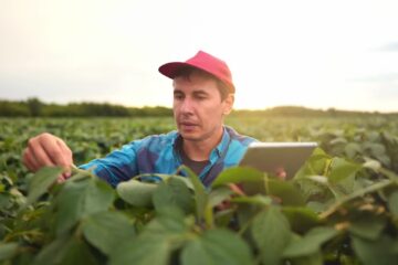 El año de la inteligencia artificial: soluciones que marcaron la agenda del agro
