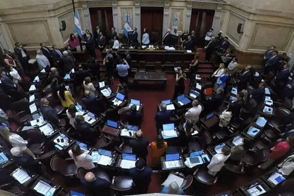 Fondos para indemnizaciones: estiman que su costo fiscal equivale al de las leyes universitaria y de discapacidad