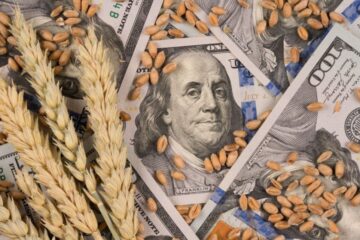 Baja de retenciones: el campo celebró la medida de Caputo pero pide certezas