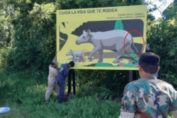 Política y ridículo en Misiones: el gobierno colocó carteles de tapires con cola y sin trompa