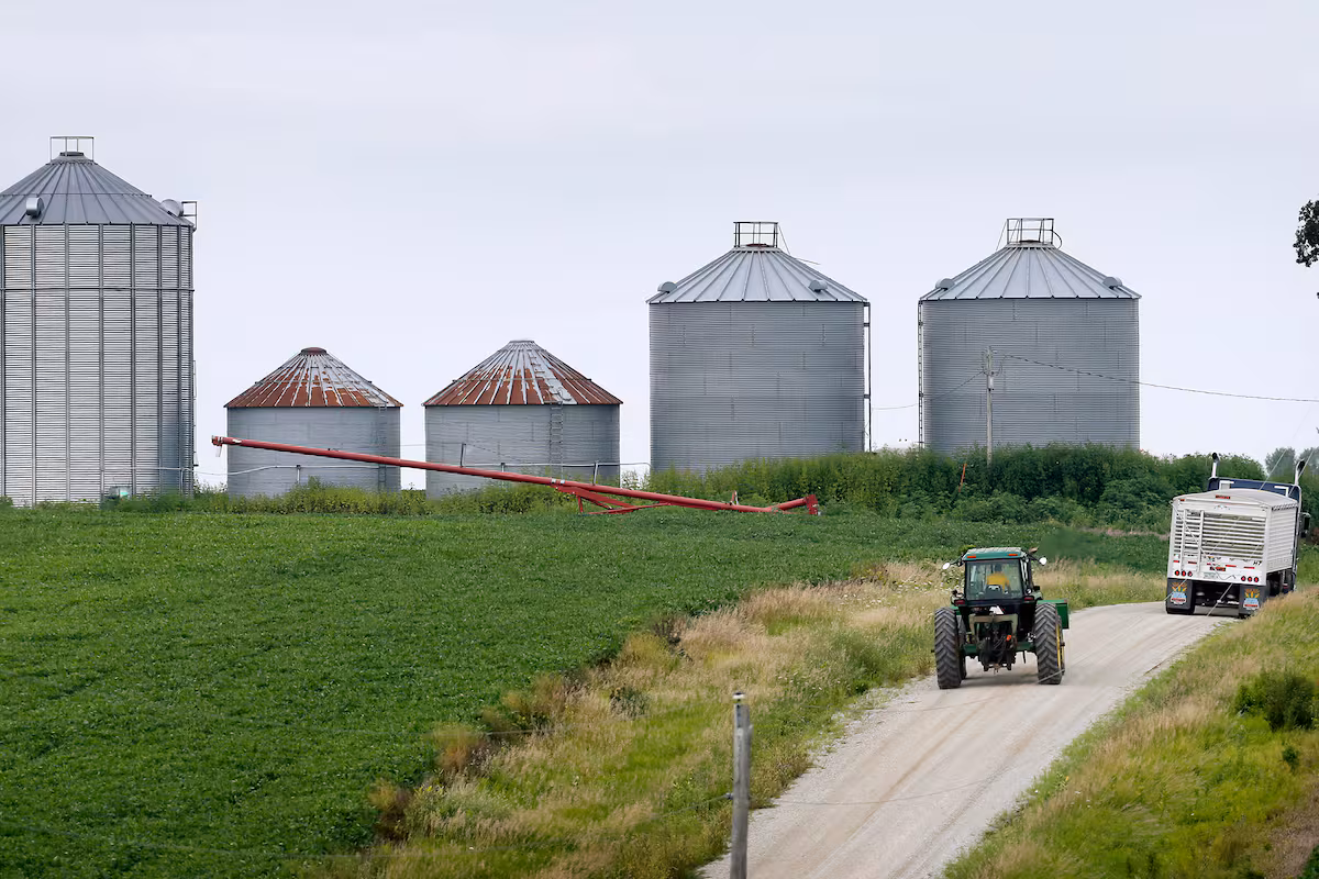 La soja: entre el mercado climático sudamericano y las ventas a Estados Unidos