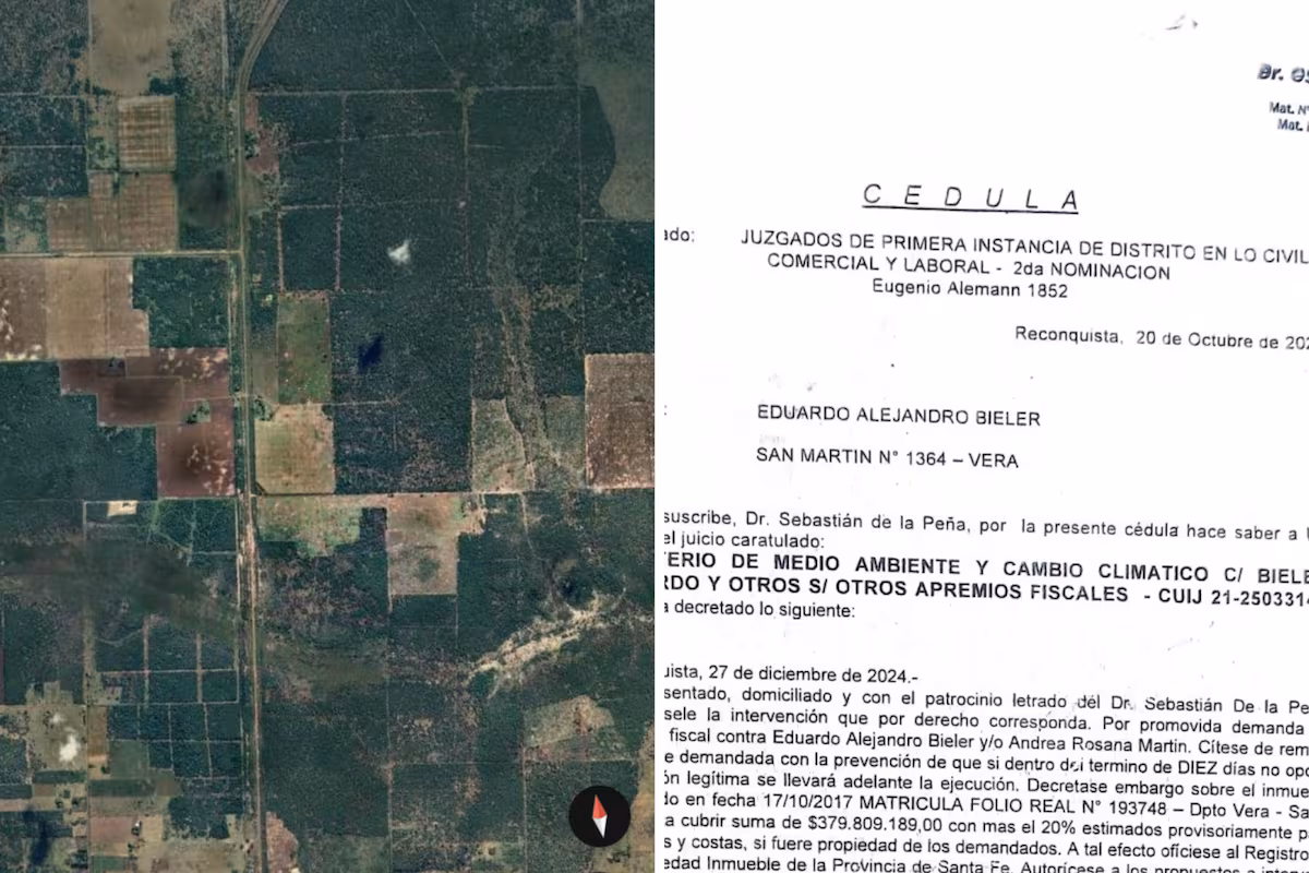 Polémica por multa de $379 millones a un productor ganadero