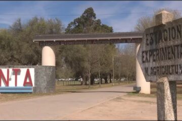 Gremio del INTA alerta por la situación laboral y el posible cierre de agencias y venta de miles de hectáreas