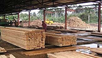 Pretenden instalar un “mega aserradero” en Santo Tomé