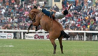 Diamante recibirá a tradicionalistas de todo el país