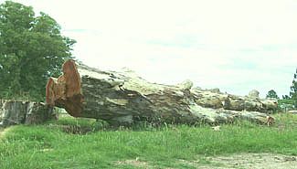 "Talaron" atractivos turísiticos en Concordia