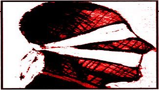 Cosquín: Acusan al canal oficial de censurar a un artista entrerriano