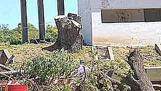 La balanza del Túnel es eje de una disputa con Vialidad