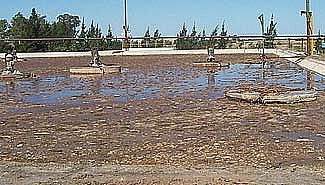 Gualeguay: Dos directivos de Soychú fueron procesados por contaminación