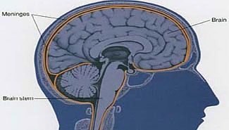 Hay dos casos de meningitis en Gualeguaychú