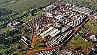 Celulosa Argentina vuelve a manos de un grupo local