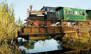 El tren de carga llega hasta el puerto de Ibicuy