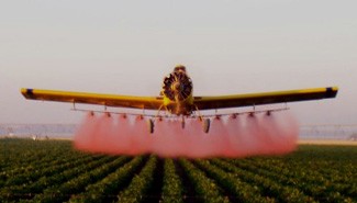 Encuentran evidencias de la relación entre Pesticidas y el Parkinson